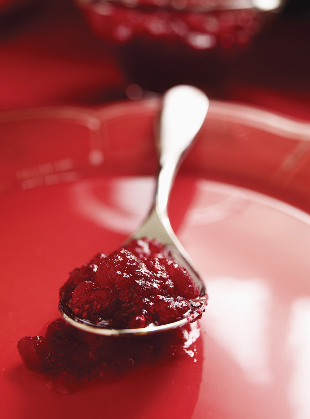 Cranberried Demi-Glace Sauce