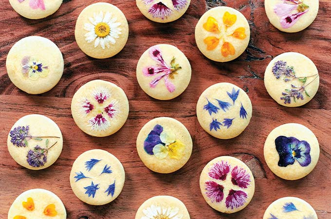 Maple and Sweet Clover Shortbread Cookies
